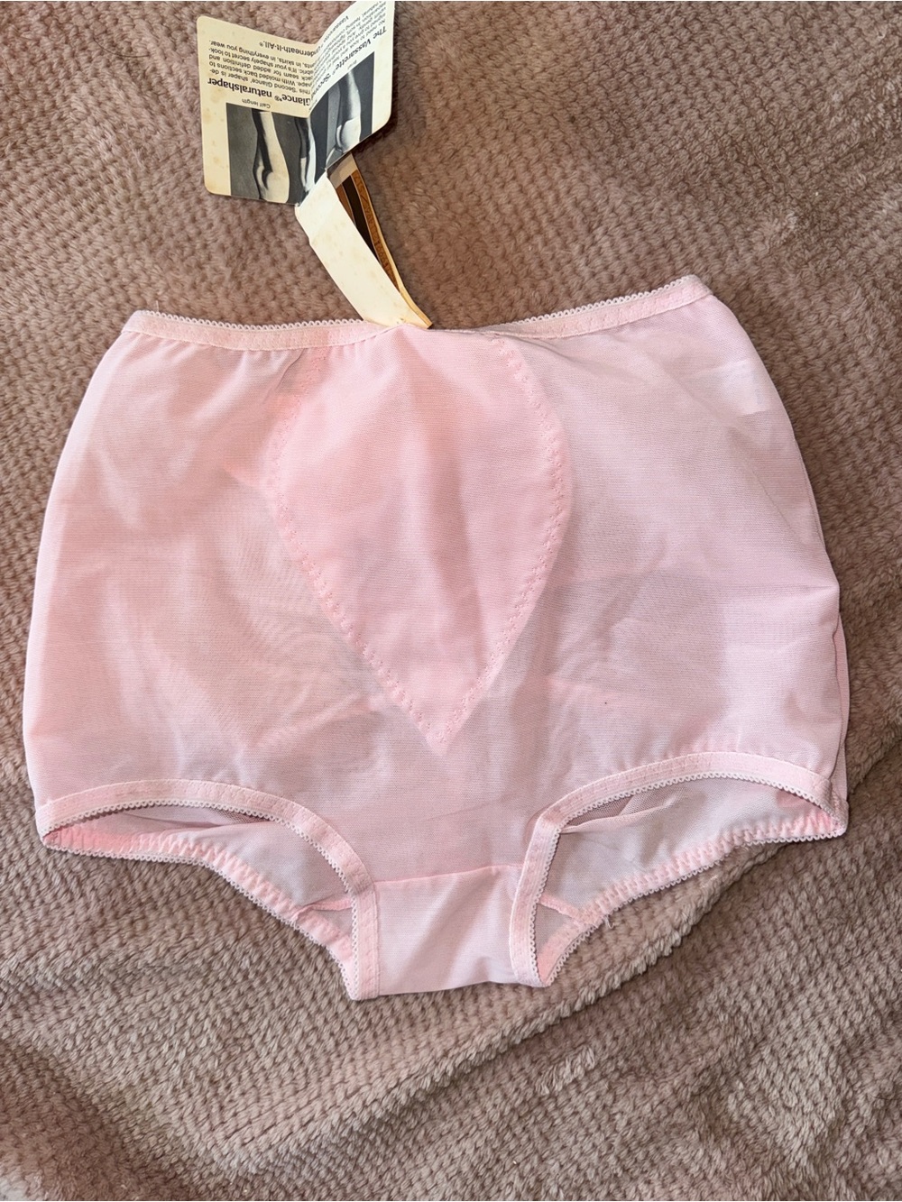 vassarette Light Pink High-Waist Shaping Briefs